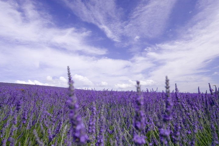 男士洗護(hù)用品大比拼，克威爾洗護(hù)品牌最好用的洗護(hù)套裝TOP3！