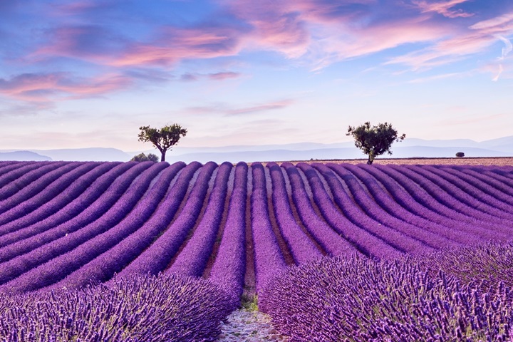 男士洗護用品加盟熱潮，克威爾品質引領市場